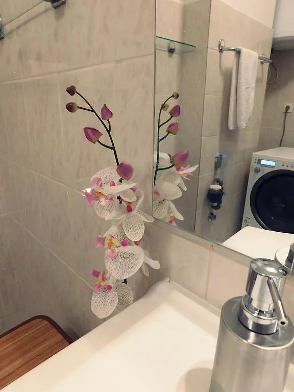 Luciana Apartment Zadar Croatia