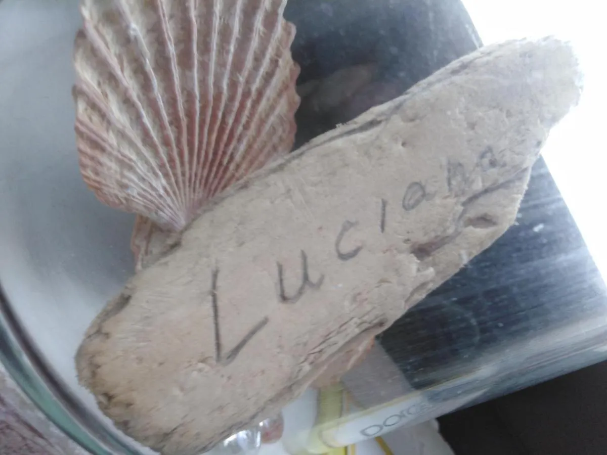 Luciana Apartment Zadar